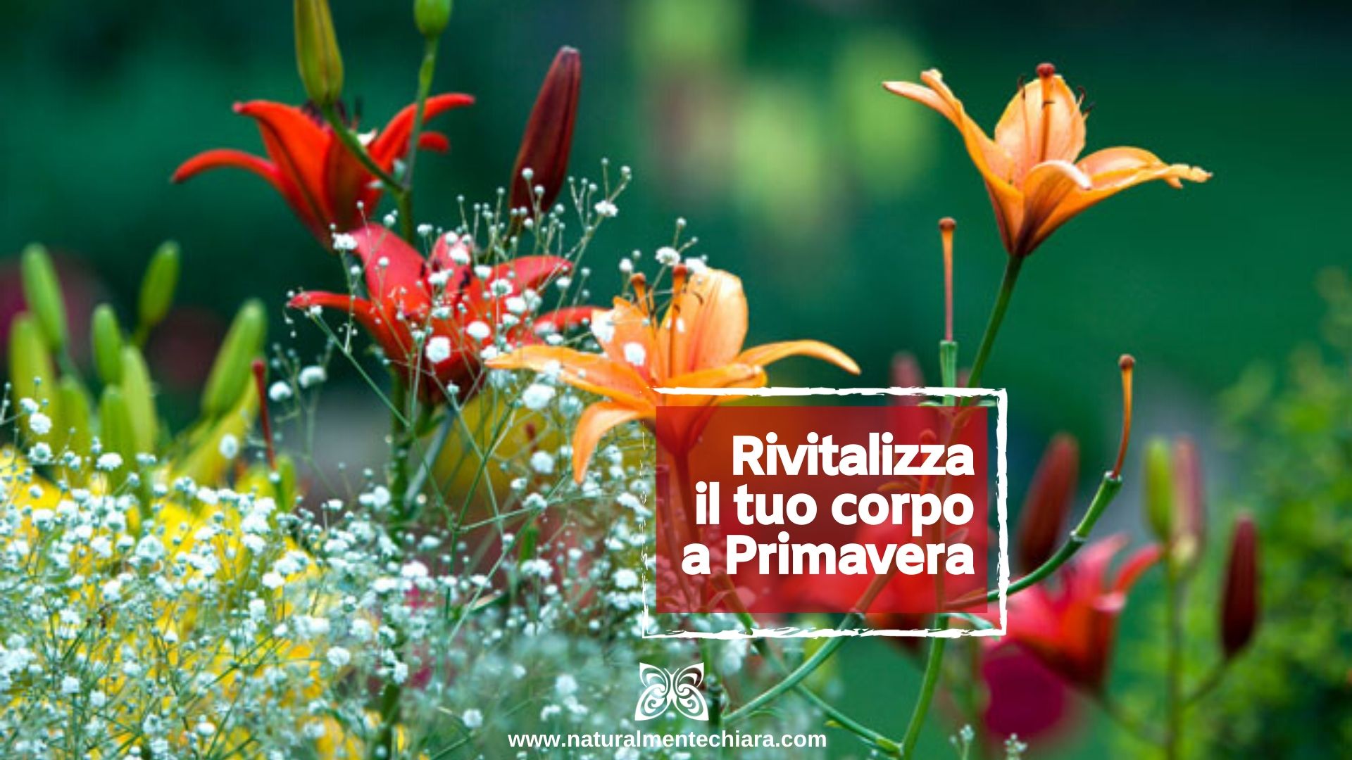 Rivitalizza il Tuo Corpo a Primavera