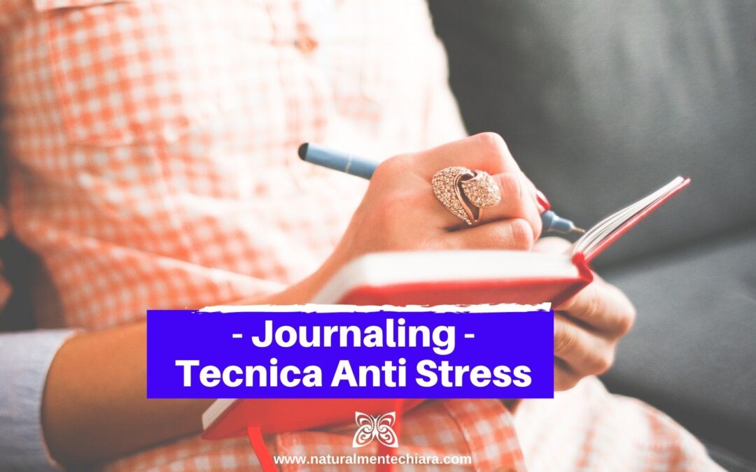Journaling: Magnifica Tecnica Anti Stress